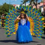 Fundamental la participación de las instituciones educativas, reconoce Arnulfo Alva «el che»